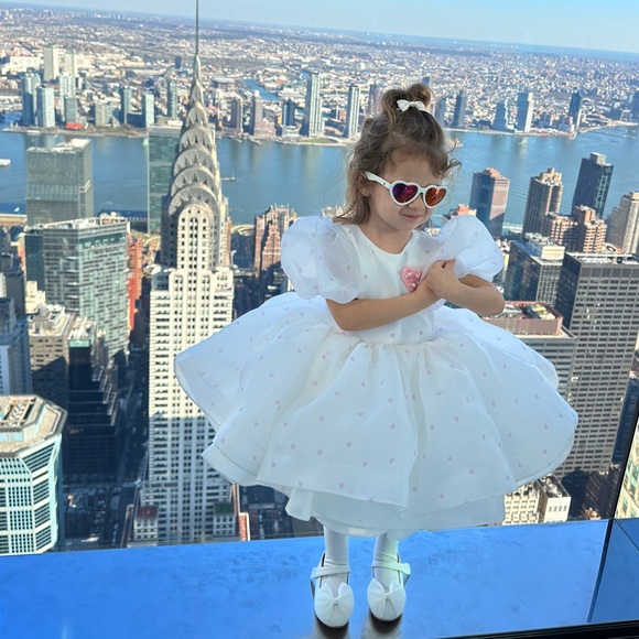 Toddlers Dress for Birthday Party or any other party - Picture 8 of 11